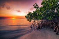 Sunset Over the St. Lucie River Fine Art Print