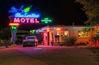 Neon Blue Swallow Motel Fine Art Print