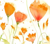 Poppy Moment Fine Art Print