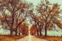 November Adventures Fine Art Print