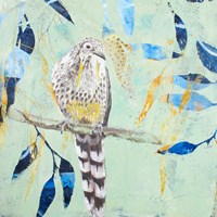 A Thoughtful Wattlebird Fine Art Print