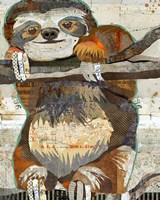 Sloth Fine Art Print