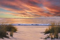 Beach Solitude Framed Print