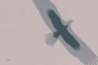 Double Eagle Flight Framed Print