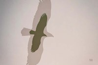 Double Eagle Fine Art Print