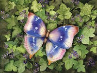 Garden Butterfly Framed Print