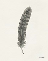 Springtime Feather I Framed Print