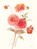 Summer Dahlias I Fine Art Print