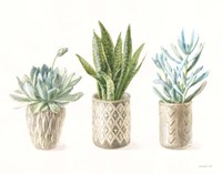 Desert Greenhouse VII Fine Art Print