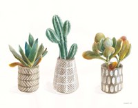 Desert Greenhouse VI Fine Art Print