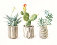 Desert Greenhouse IX Fine Art Print