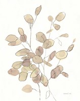 Transparent Leaves Fine Art Print