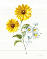 Bees and Blooms Flowers IV Framed Print