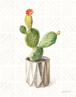 Desert Greenhouse XII Fine Art Print