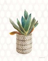 Desert Greenhouse XIII Fine Art Print