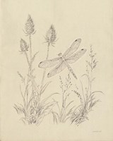 Vintage Nature Sketchbook IV Framed Print
