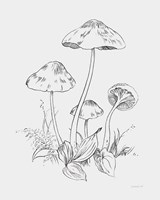 Natures Sketchbook III Bold Light Gray Fine Art Print