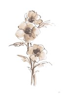 Wash Anemone II Neutral Fine Art Print