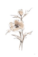 Wash Anemone I Neutral Fine Art Print