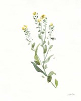 Flowers of the Wild IV Fine Art Print