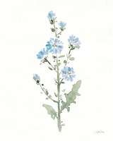 Flowers of the Wild III Fine Art Print