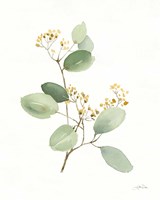 Flowers of the Wild I Fine Art Print