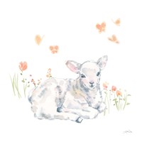 Spring Lambs III Fine Art Print