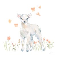 Spring Lambs II Framed Print
