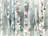 Winter Birches v2 Fine Art Print