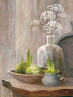 Rustic Elegance III Fine Art Print