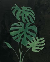 Palm Botanical I Black Fine Art Print