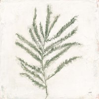 Plantlife I Green Fine Art Print