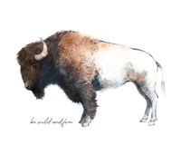 Wild Colorful Bison Dark Brown Fine Art Print