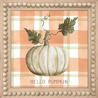 Hello Pumpkin Framed Print