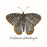 Baltimore Checkerspot Fine Art Print