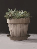 Farmhouse Succulent Fine Art Print