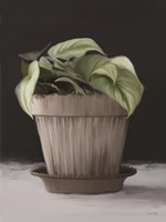 Farmhouse Philodendron Fine Art Print