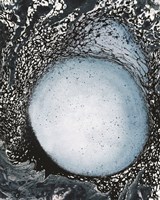 Split Fine Art Print