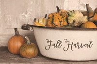 Fall Harvest Fine Art Print