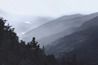 Newfound Gap View Fine Art Print