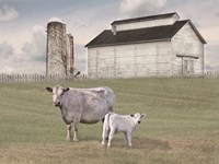 Momma and Baby Cow Fine Art Print