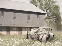Barn Daze Fine Art Print
