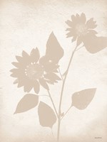 Floral Silhouette III Fine Art Print