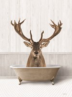 Bath Time Deer Framed Print