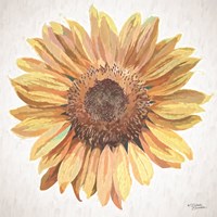 Sunny Sunflower Fine Art Print