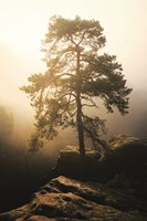 On the Edge of Glory Fine Art Print