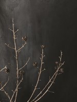 Branches in Noir I Fine Art Print