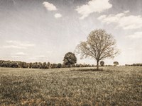 Together in the Fields I Fine Art Print