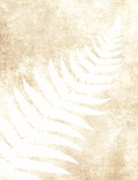 Fern Frond 1 Fine Art Print