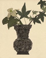 Ebony Vase 1 Framed Print